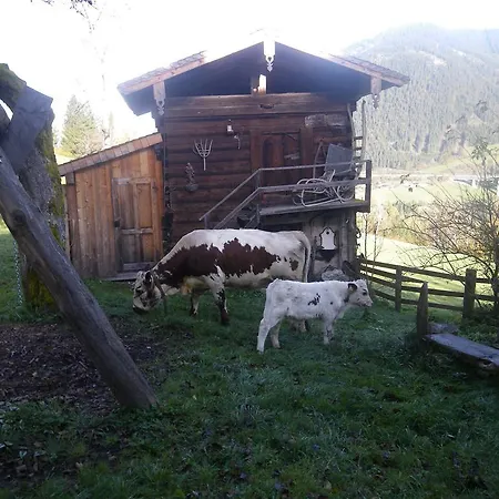 Eisenhut * Hüttau