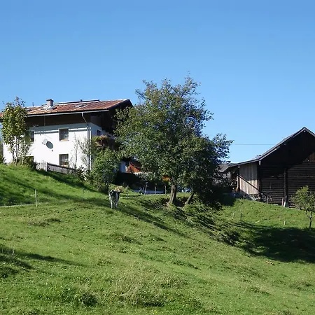 Eisenhut