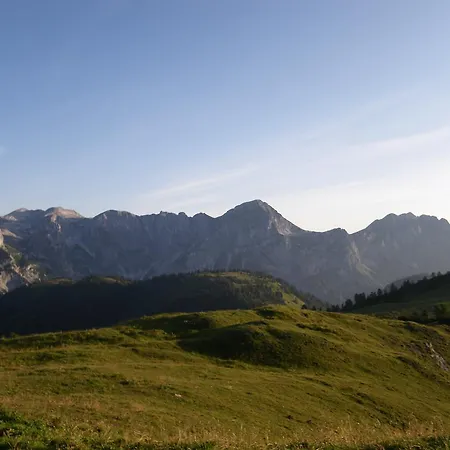Eisenhut * Hüttau